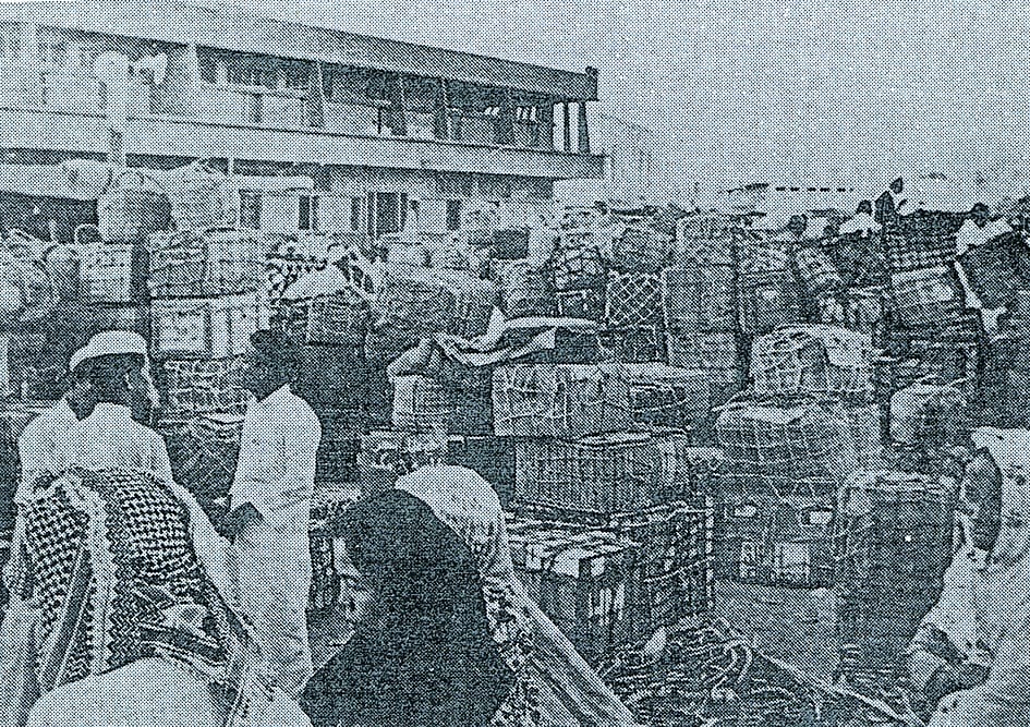 People are gathered around piles of cargo boxes and bags near a building in a busy outdoor area.